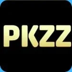 pkzzgame.org